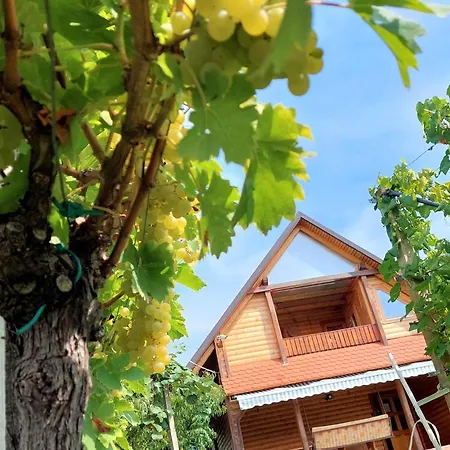 Apartma-spa Natura Apartamento Sveti Jurij ob Scavnici