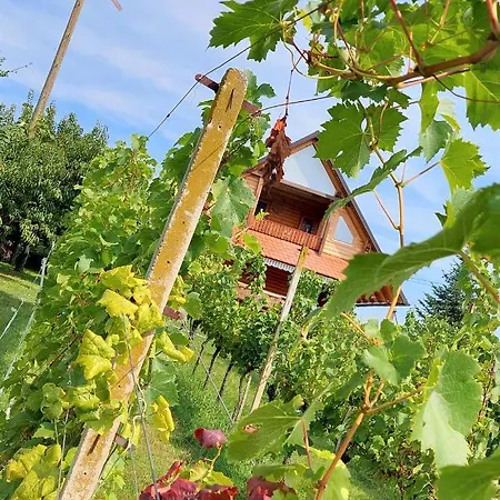 Apartma-spa Natura Sveti Jurij ob Scavnici